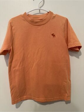 abercrombie kids Orange Short Sleeve Logo Tee